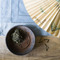 Organic Japanese Sencha from Divinitea