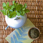 Organic Peppermint from Divinitea