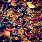 Hibiscus Rose from Tea Gallerie