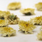 Huang Shan Dried Chrysanthemum (Gongju) from Teavivre