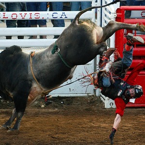 RODEO TEA from UNCLE RJ