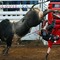 RODEO TEA from UNCLE RJ