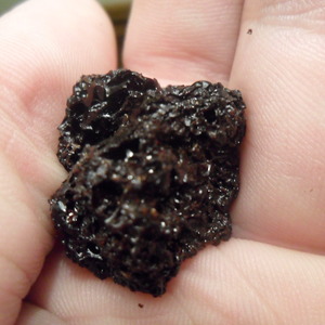 Taoist Tea Chrystal from Wild Tea Qi