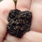 Taoist Tea Chrystal from Wild Tea Qi