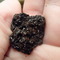 Taoist Tea Chrystal from Wild Tea Qi