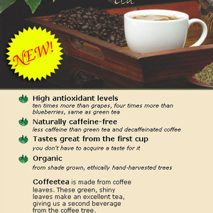Coffee Leaf Tea from Astral Natural