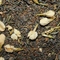 Jasmine Green Tulsi from Hush Tea + Gift