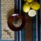 Organic Lemon Rooibos from Divinitea