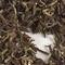 Steinhal Estate FTGFOP1 Cl. Musc Sunrise 2nd Flush (DJ-71) Organic from Upton Tea Imports
