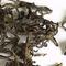 TDD1: Arya Estate Topaz Second Flush (EX-45) Organic from Upton Tea Imports