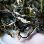 Pre-rain Sanxia Bi Luo Chun (Green Snail Spring) from Mantra Tea