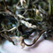 Pre-rain Sanxia Bi Luo Chun (Green Snail Spring) from Mantra Tea