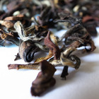 Formosa Oriental Beauty Oolong (White Tip Oolong) from Mantra Tea