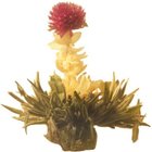 Blooming tea from Grosche