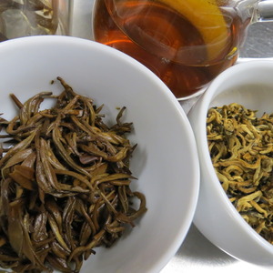Imperial Mojiang Golden Bud Yunnan Tea 2012 from Yunnan Sourcing