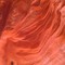 Red Rock from Custom-Adagio Teas