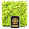 Matcha Uji from Mariage Frères
