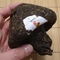 2005 Xiaguan "Holy Flame" Raw Puerh Tea Mushroom Tuo from Xiaguan Tuocha Co. Ltd.