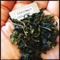 Coconut Oolong from Carytown Teas