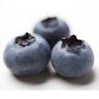 Wild Blueberry from Bar Harbor Tea Company