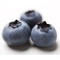 Wild Blueberry from Bar Harbor Tea Company