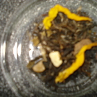Tangerine Parfait from Cuppa'T Specialty Teas