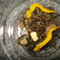 Tangerine Parfait from Cuppa'T Specialty Teas