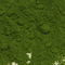 Matcha Kaze from Stratford Tea Leaves
