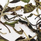Organic White Peony from Murchie's Tea & Coffee
