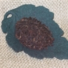 Celtic Cottage Tea from Trail Lodge Tea