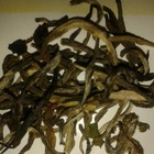 Yunnan Ping Needle from Unknown