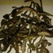 Yunnan Ping Needle from Unknown