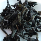 Shui Jin Gui (Golden Water Turtle) from tea-adventure