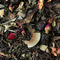 White Cherry from Aromatica
