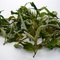 CLOUD - 9 – CLONAL WHITE TEA. (1ST FLUSH – 2013) from GOOMTEE TEA ESTATE