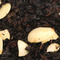 Almond Tea from Chado