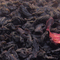 Black and Blue from Remedy Teas