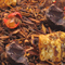 Banana Split from Remedy Teas