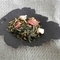 Strawberry Mango Green Tea from Trail Lodge Tea