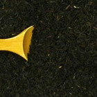 Very Vanilla from Hooker Tea