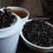 Organic Decaf Korakundah from Butiki Teas
