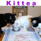 Kittea from 52teas