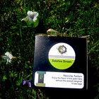 Absinthe Aethers from Solstice Brews