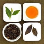 Baguashan Gui Fei Oolong Tea, Lot # 120 from Taiwan tea crafts