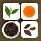 Organic GABA Oolong Tea, Lot # 130 from Taiwan tea crafts