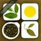 Alishan Jin Xuan High Mountain Oolong Tea, Lot 207 from Taiwan tea crafts