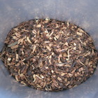 Wildharvest Honeybush from Chateau Rouge