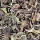 Bai Mu Dan from De Theefabriek