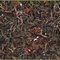 Pu-erh Fruity Delight from Tealux