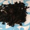 Black Currant from DORI'S TEA COTTAGE